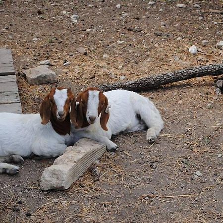 Last Outpost Bandera Ranch House מראה חיצוני תמונה